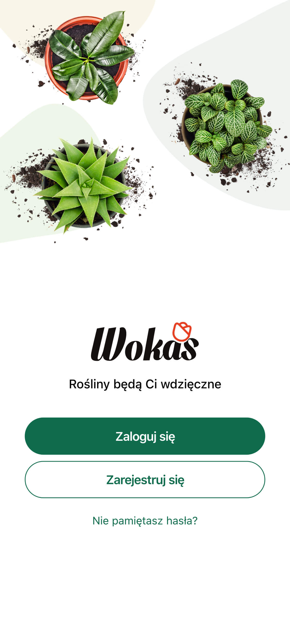 Aplikacja Wokas